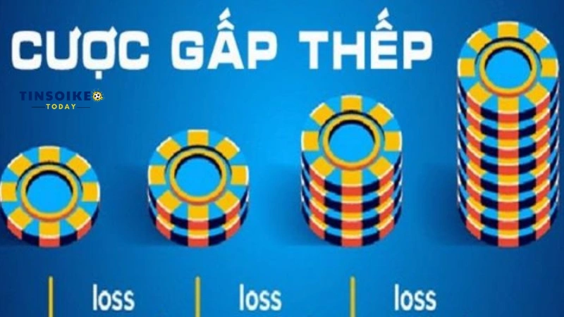 Giới thiệu về cược gấp thếp