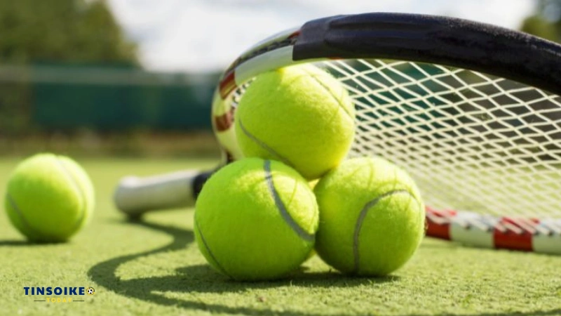 Hướng dẫn cá cược tennis bách phát, bách trúng