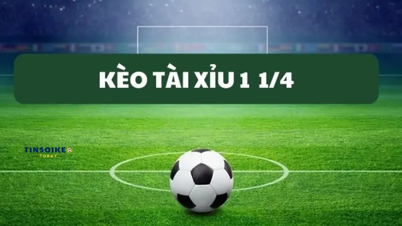 Kèo tài xỉu 1 1/4 là gì?