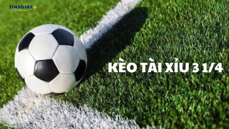 Kèo tài xỉu 3 1/4 là gì?