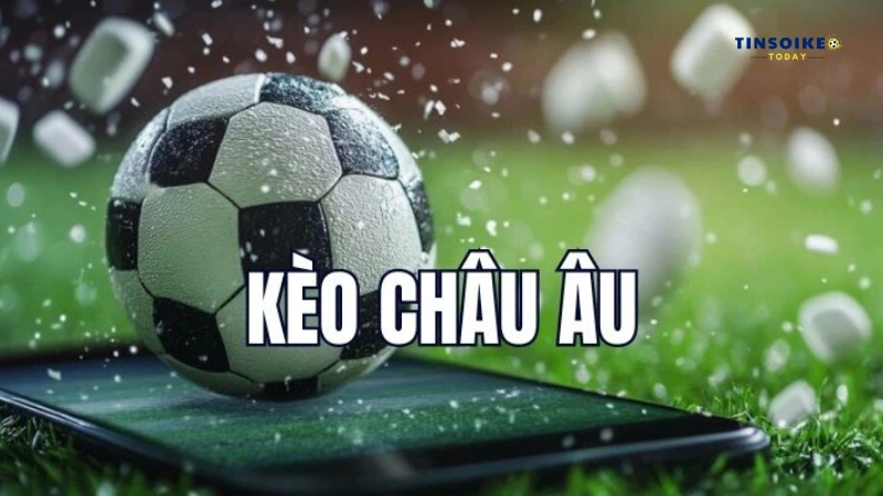 Kèo Châu Âu - Các loại tỷ lệ kèo C1 phổ biến