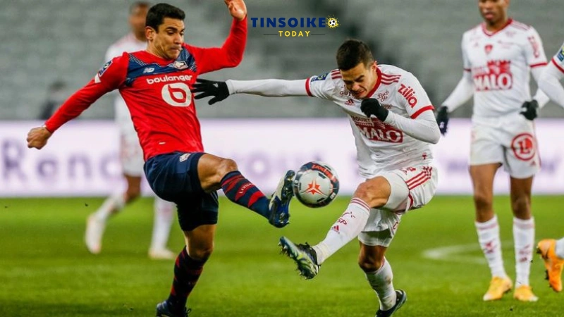 Tỷ lệ soi kèo châu Á, châu Âu, kèo tài xỉu Lille vs Brest 01h00 ngày 07/12/2024