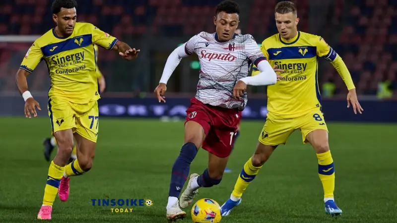 Dự đoán tỷ lệ kèo phạt góc trong trận Bologna vs Hellas Verona 02h45 ngày 31/12