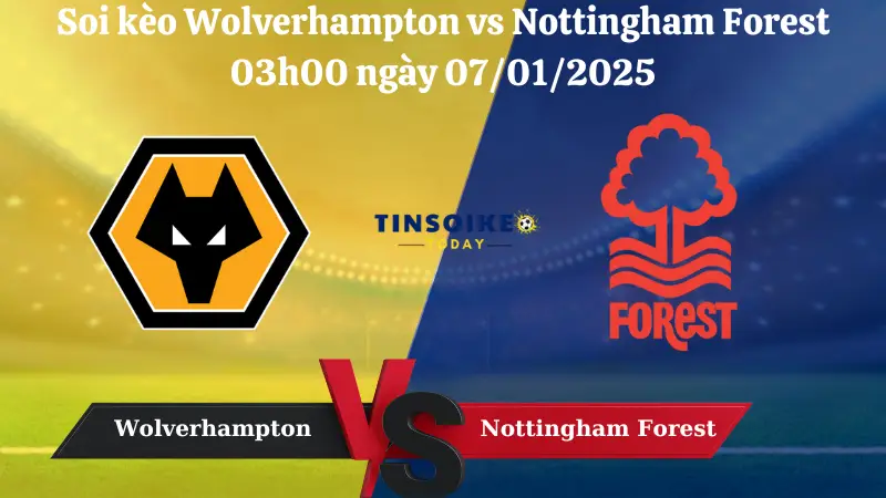 Nhận định soi kèo Wolverhampton vs Nottingham 03h00 ngày 07/01/2025